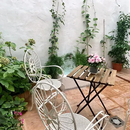 Bed & Breakfast Patios Del Agua