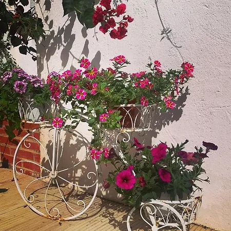 Patios Del Agua El Puerto de Santa Maria