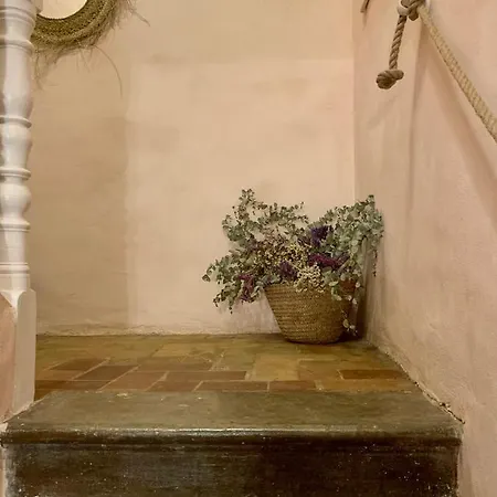 Patios Del Agua Bed & Breakfast