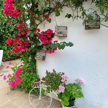 Bed & Breakfast Patios Del Agua El Puerto de Santa Maria