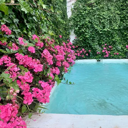 Bed & Breakfast Patios Del Agua *